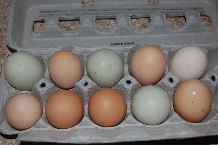 752x500px-ZC-e0596d15_081609047