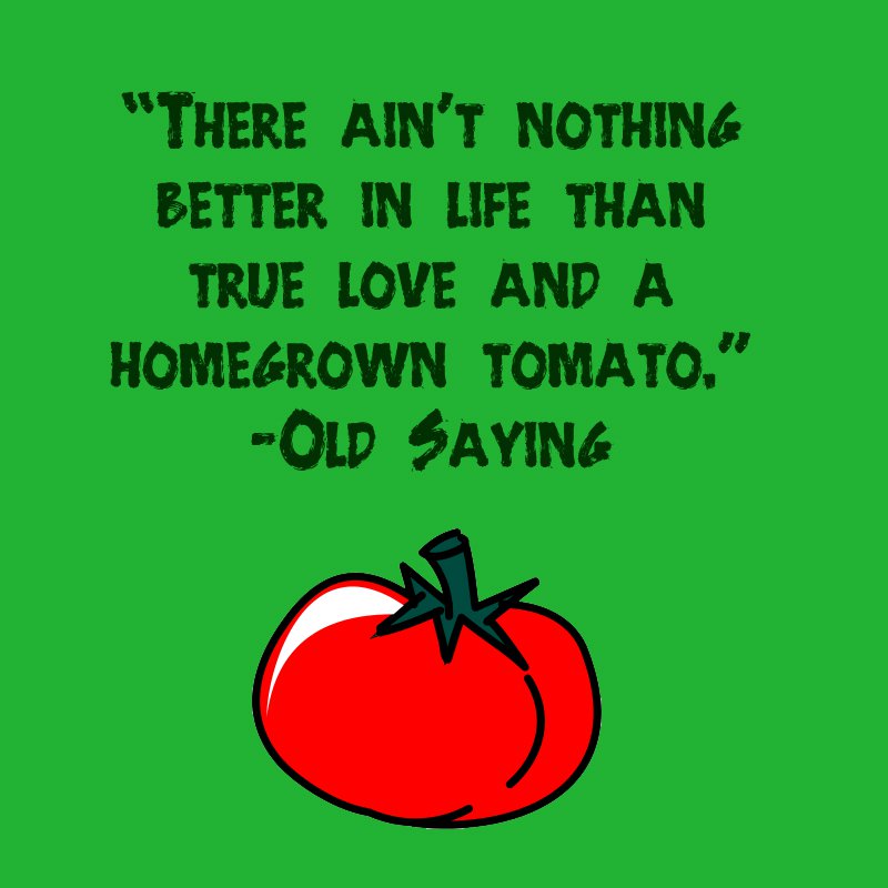 28749963-gardening-quotes-homegrown-tomatoes
