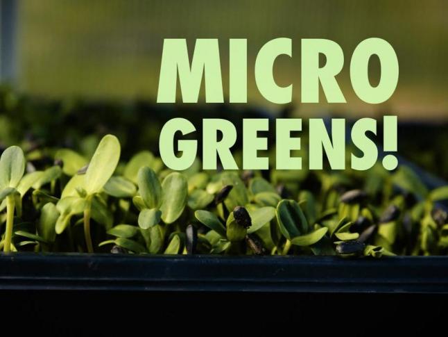 16559669-1488393697-uid14883936971267-646x485