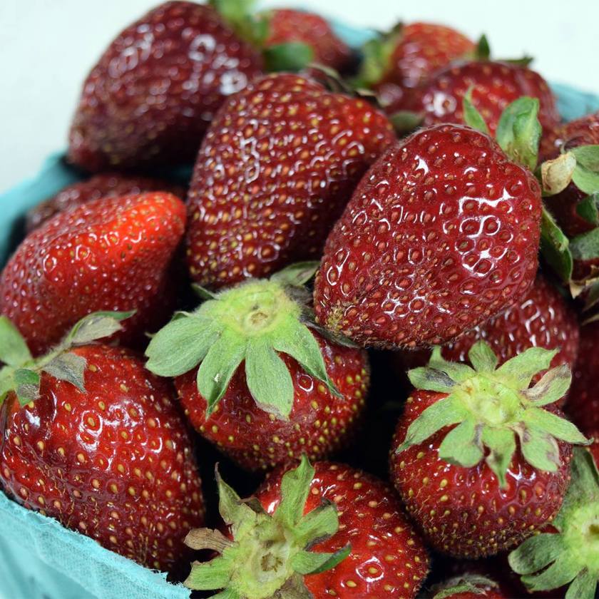 32349421_1014694265352089_2449352821649178624_o