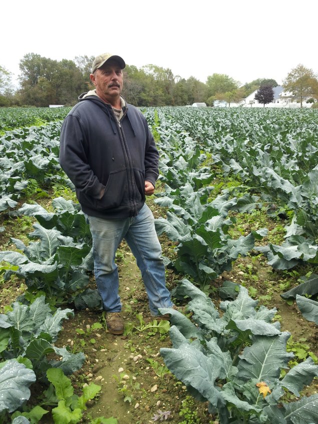 543272_390818657656762_349448693_n